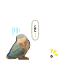 たかぎ家のくりんちゃん（個別スタンプ：16）