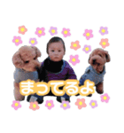 ☆りゅうちゃん☆（個別スタンプ：5）