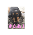 虹になったマリン（個別スタンプ：6）
