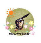 虹になったマリン（個別スタンプ：8）