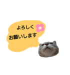 りんりんの日常3（個別スタンプ：2）