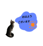 りんりんの日常3（個別スタンプ：4）