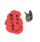 りんりんの日常3（個別スタンプ：5）