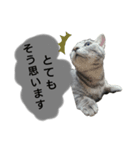 りんりんの日常3（個別スタンプ：6）