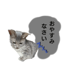 りんりんの日常3（個別スタンプ：8）