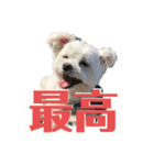 kid-bei（個別スタンプ：1）