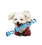 kid-bei（個別スタンプ：2）