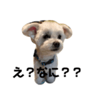 kid-bei（個別スタンプ：3）