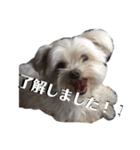 kid-bei（個別スタンプ：5）