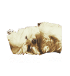 kid-bei（個別スタンプ：8）