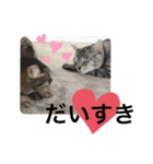 チキンくんとロアくん（個別スタンプ：12）