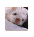 日々愛莉2（個別スタンプ：2）