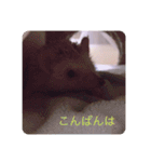 日々愛莉2（個別スタンプ：3）