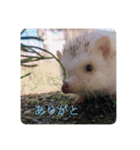 日々愛莉2（個別スタンプ：4）