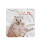日々愛莉2（個別スタンプ：5）