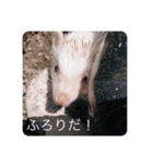 日々愛莉2（個別スタンプ：6）