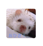 日々愛莉2（個別スタンプ：7）
