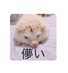 日々愛莉2（個別スタンプ：9）