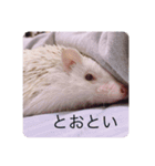 日々愛莉2（個別スタンプ：10）