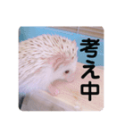 日々愛莉2（個別スタンプ：11）