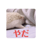 日々愛莉2（個別スタンプ：12）