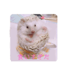 日々愛莉2（個別スタンプ：13）