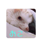日々愛莉2（個別スタンプ：14）