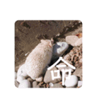 日々愛莉2（個別スタンプ：15）