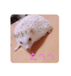日々愛莉2（個別スタンプ：16）
