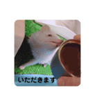 日々愛莉2（個別スタンプ：17）