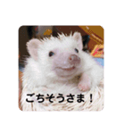 日々愛莉2（個別スタンプ：18）