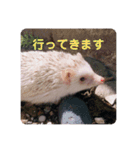 日々愛莉2（個別スタンプ：19）