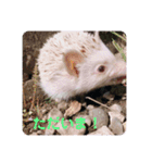 日々愛莉2（個別スタンプ：20）
