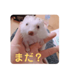 日々愛莉2（個別スタンプ：21）