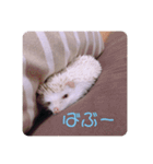 日々愛莉2（個別スタンプ：22）