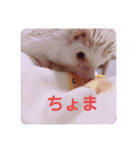日々愛莉2（個別スタンプ：23）