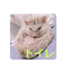 日々愛莉2（個別スタンプ：24）