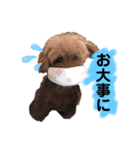 メル太郎10才（個別スタンプ：8）