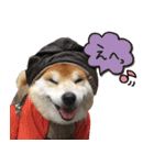 柴犬ヤン君 ハマヤン4（個別スタンプ：5）