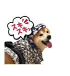 柴犬ヤン君 ハマヤン4（個別スタンプ：9）