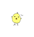 ぴよ ぴよこ（個別スタンプ：4）