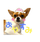 もりのさんちとゆかいな仲間たち4（個別スタンプ：1）