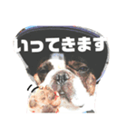 べーヴ02（個別スタンプ：5）