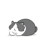 まぁたんの日常（個別スタンプ：16）