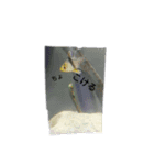 海水魚ーズ(≧▽≦)（個別スタンプ：8）