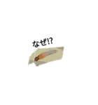 海水魚ーズ(≧▽≦)（個別スタンプ：15）