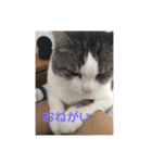 アズキの日（個別スタンプ：8）