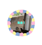 アズキの日（個別スタンプ：16）