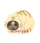 アズキの日（個別スタンプ：19）