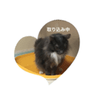 猫のゴエモン（個別スタンプ：6）